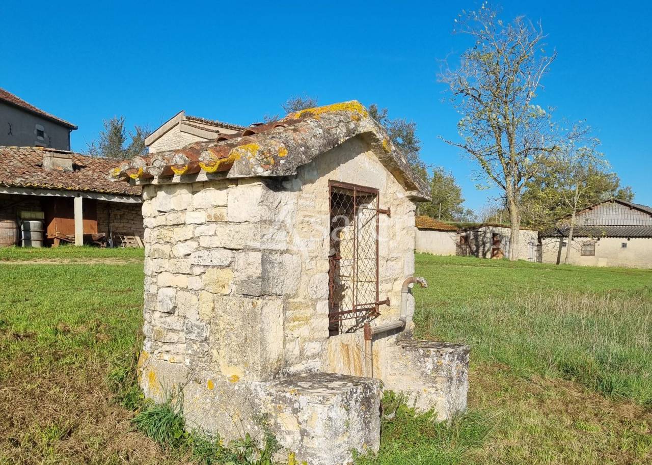 Azienda viticola / Vigneto In vendita Lot