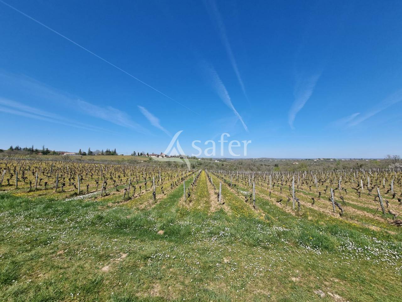 Azienda viticola / Vigneto In vendita Lot