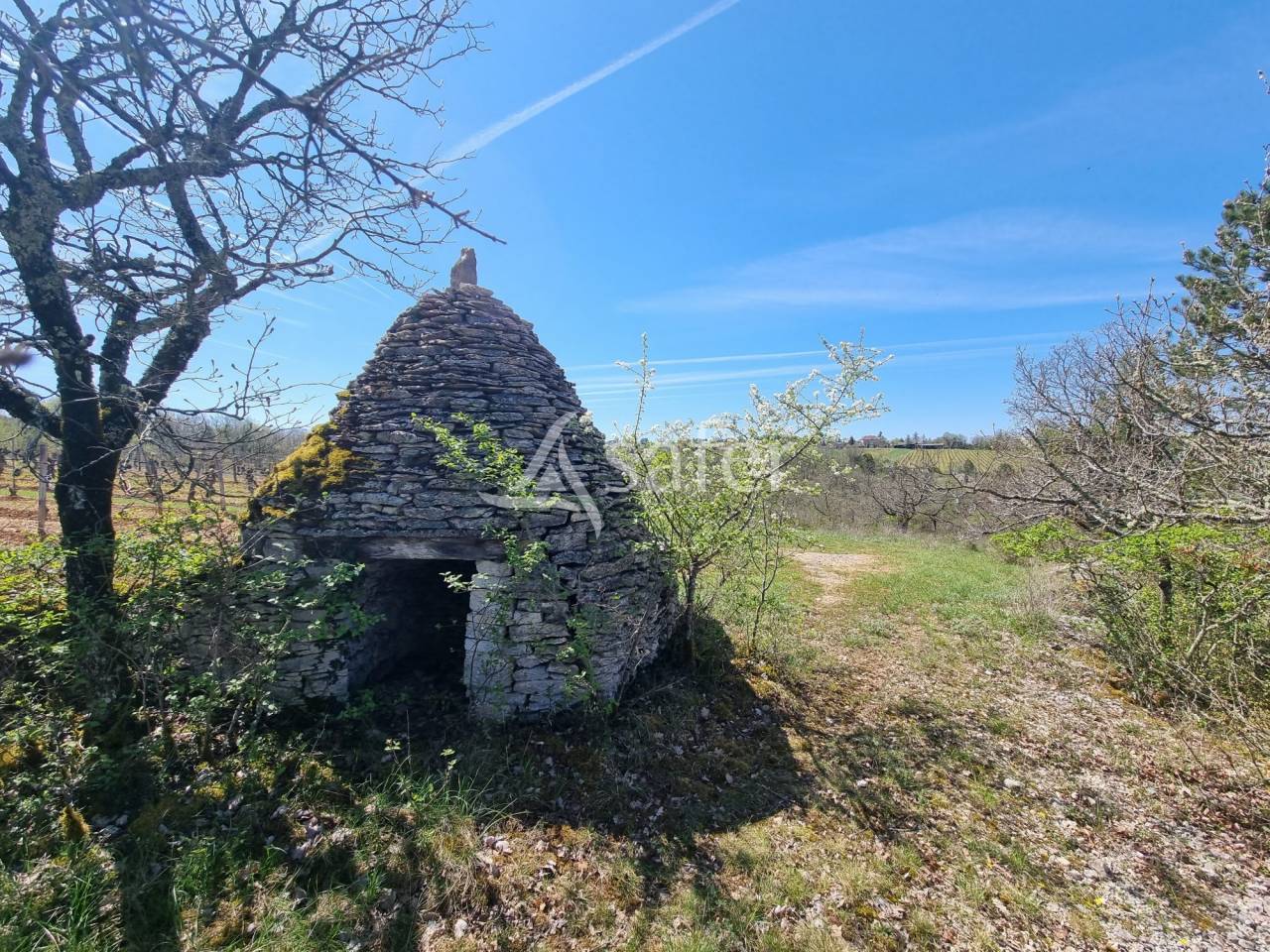 Azienda viticola / Vigneto In vendita Lot