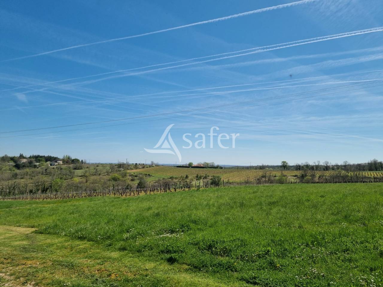 Azienda viticola / Vigneto In vendita Lot