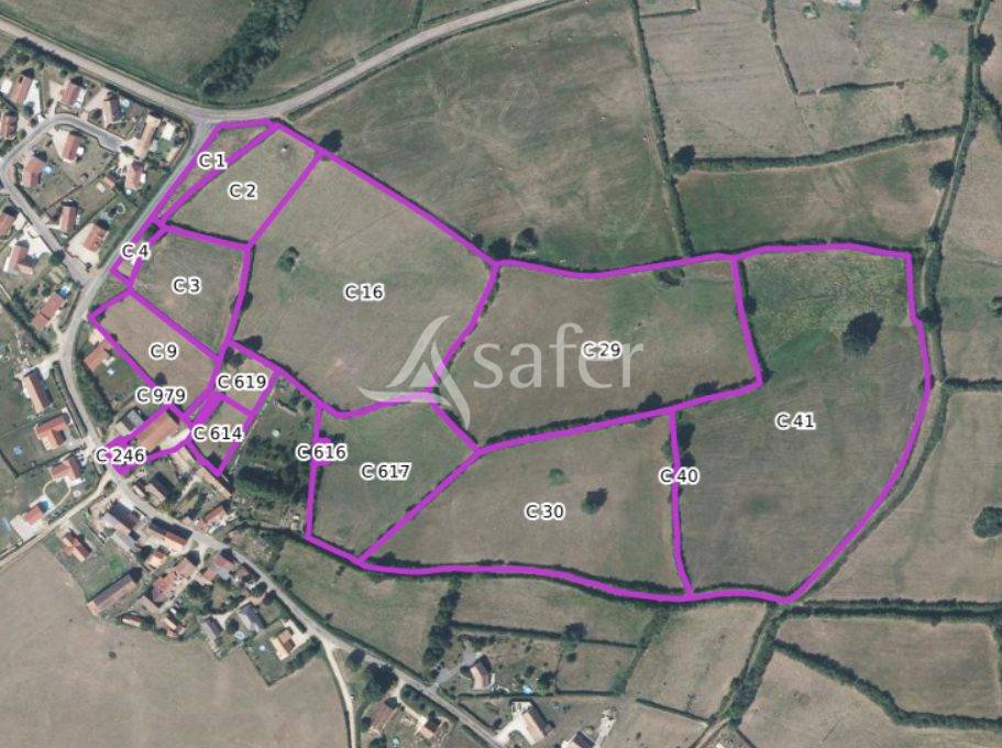 Azienda agricola In vendita Sa&ocirc;ne-et-Loire