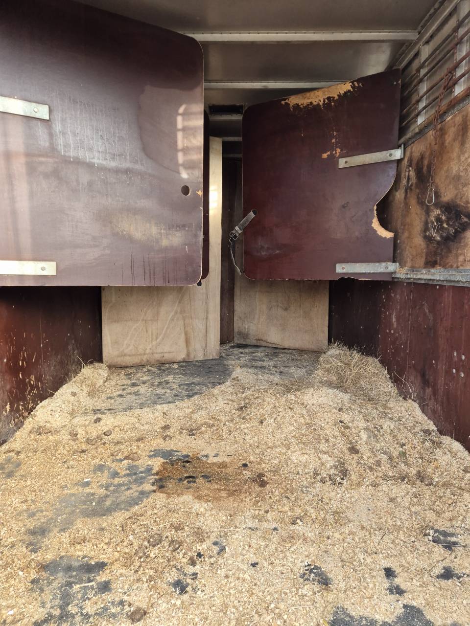 Camion per Cavalli Ford Cargo 1988 Occasione