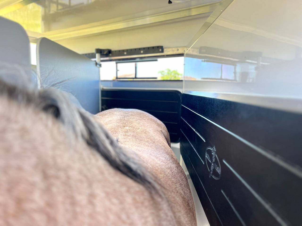 Trailer Bonilla B6 Diagonal 2 2 Cavalli 2026 Nuovo