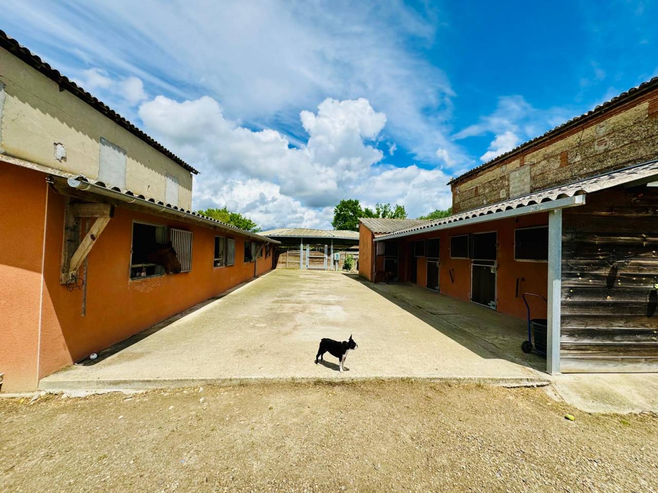 Propriet&agrave; equestre In vendita Tarn-et-Garonne