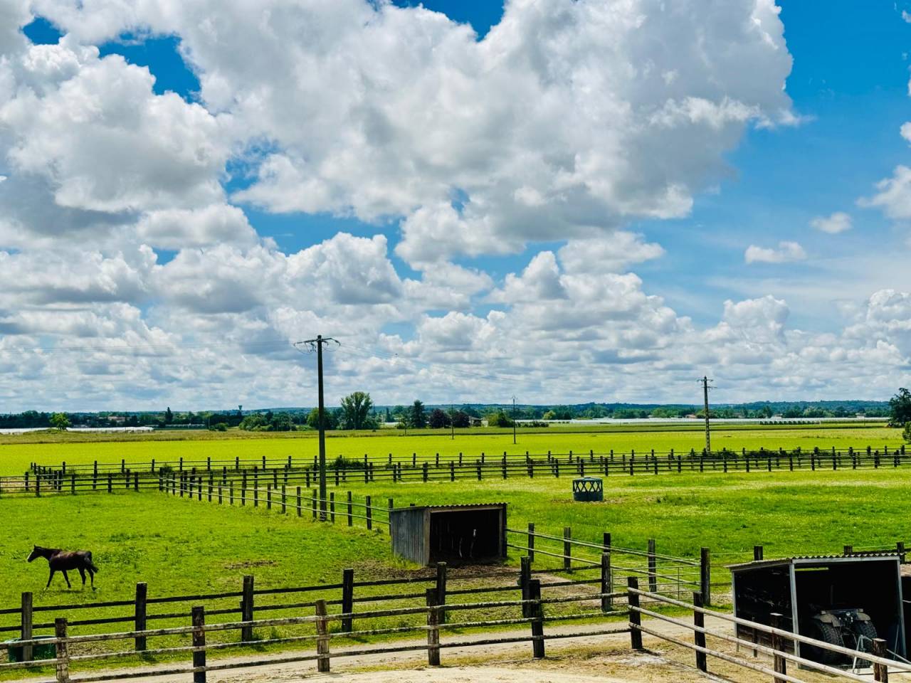 Propriet&agrave; equestre In vendita Tarn-et-Garonne