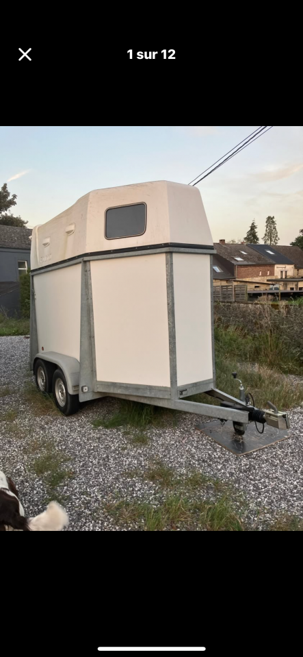 Trailer - Altra marca - Packo  2 Cavalli 1994 Occasione