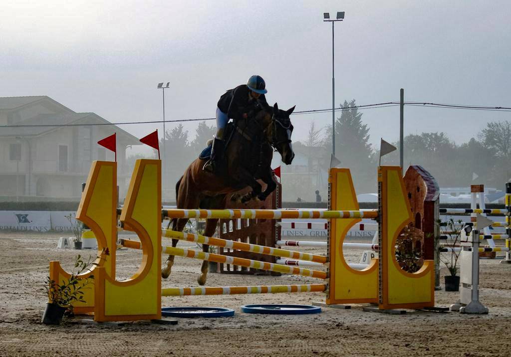 Vendesi cavalla da salto