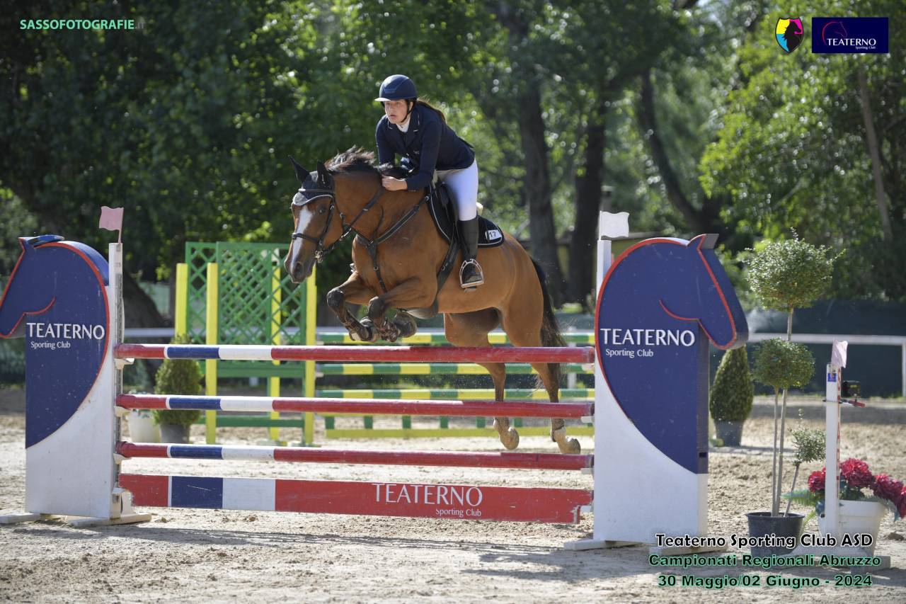 Vendesi cavalla da salto