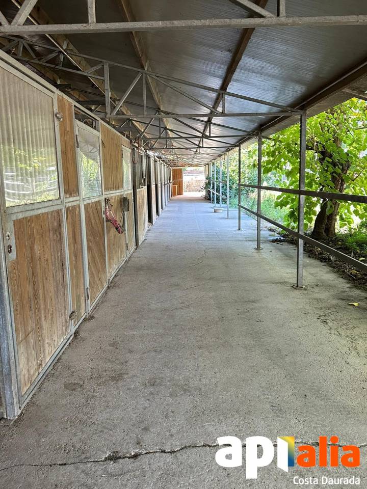 Propriet&agrave; equestre Noleggio Tarragone