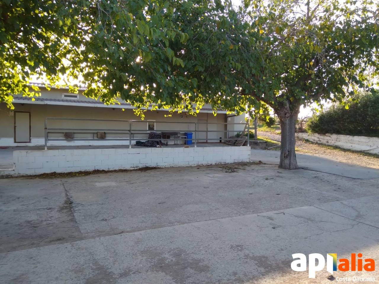 Propriet&agrave; equestre Noleggio Tarragone