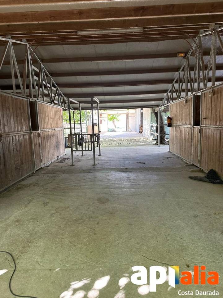 Propriet&agrave; equestre Noleggio Tarragone