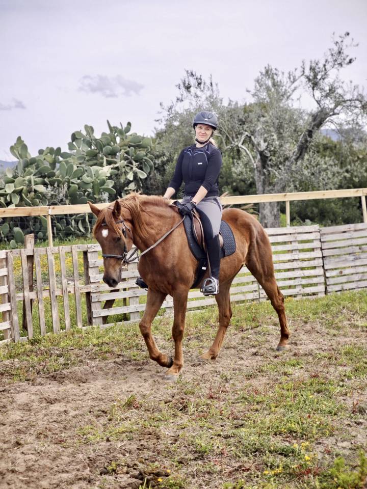 Purosangue Arabo 2019