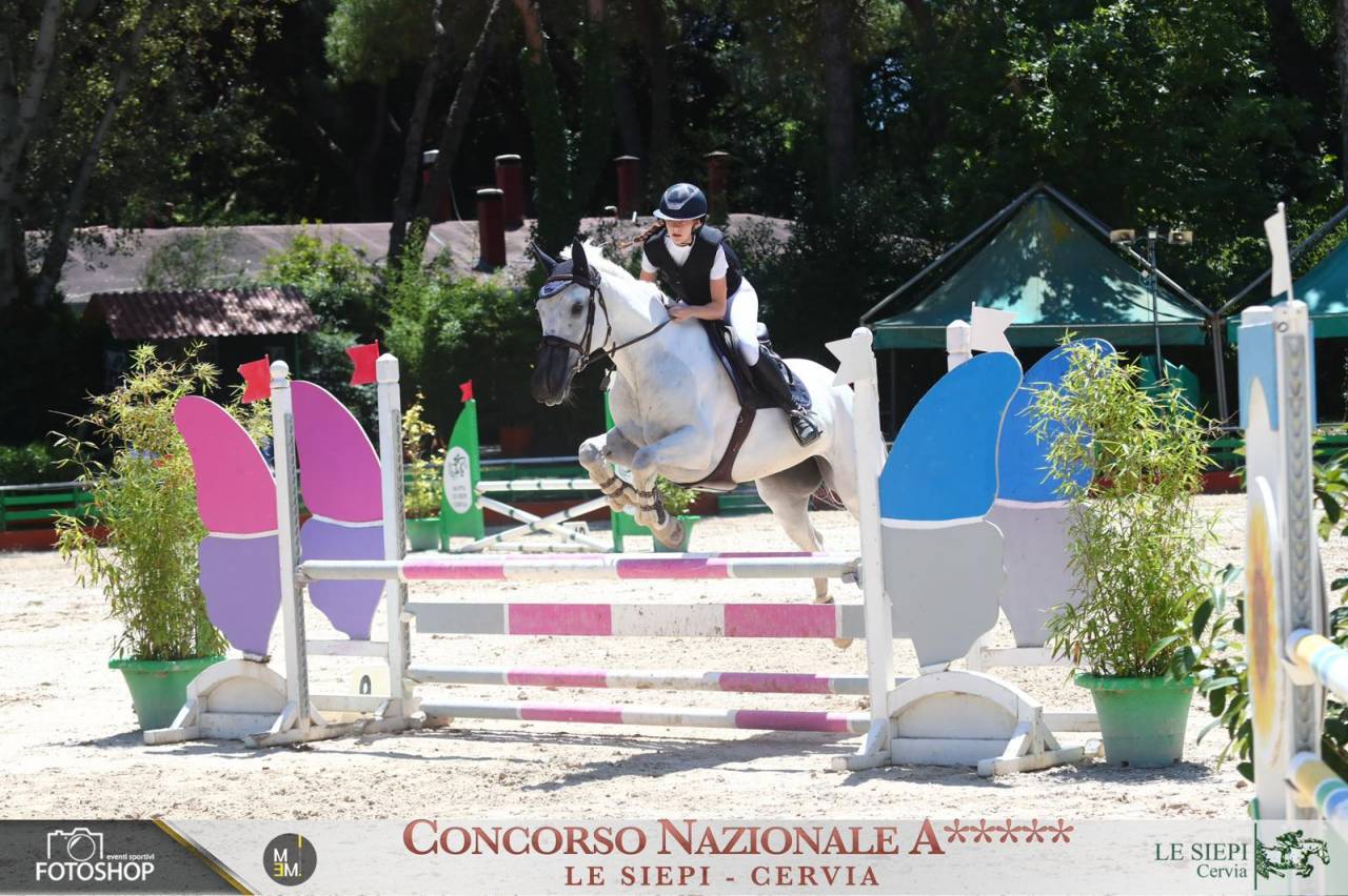 Vendita cavalla per salto ostacoli