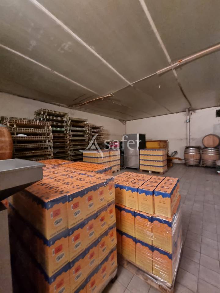 Azienda cerealicola In vendita tarn