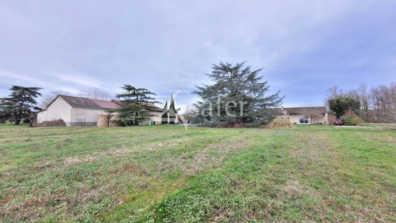 Azienda cerealicola In vendita tarn