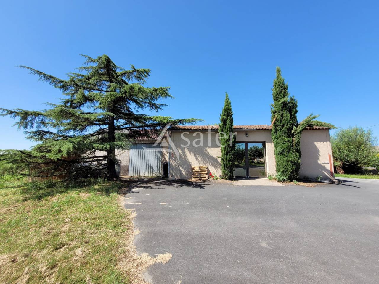 Azienda cerealicola In vendita tarn