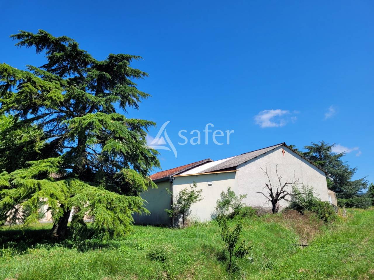 Azienda cerealicola In vendita tarn