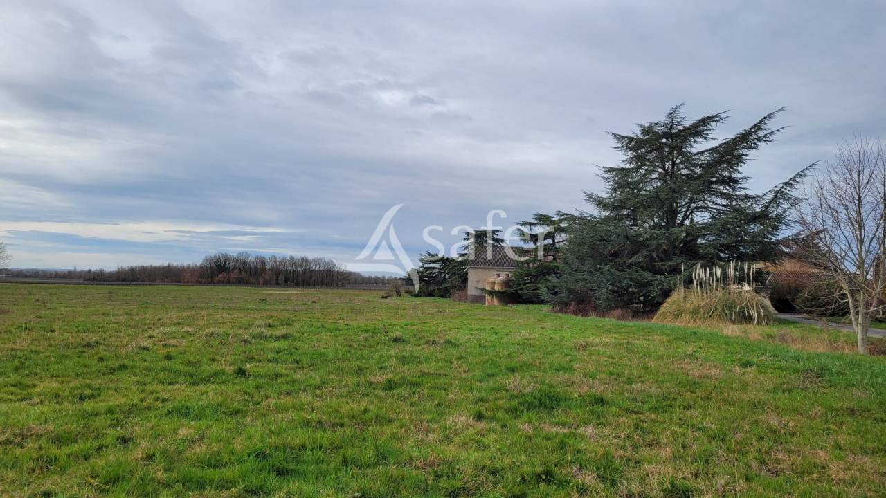 Azienda cerealicola In vendita tarn