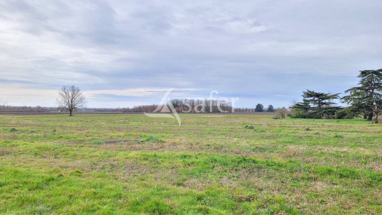 Azienda cerealicola In vendita tarn