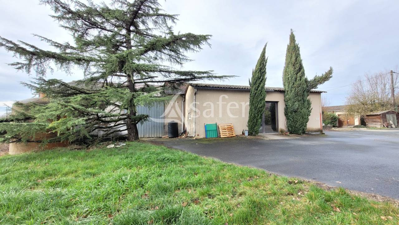 Azienda cerealicola In vendita tarn