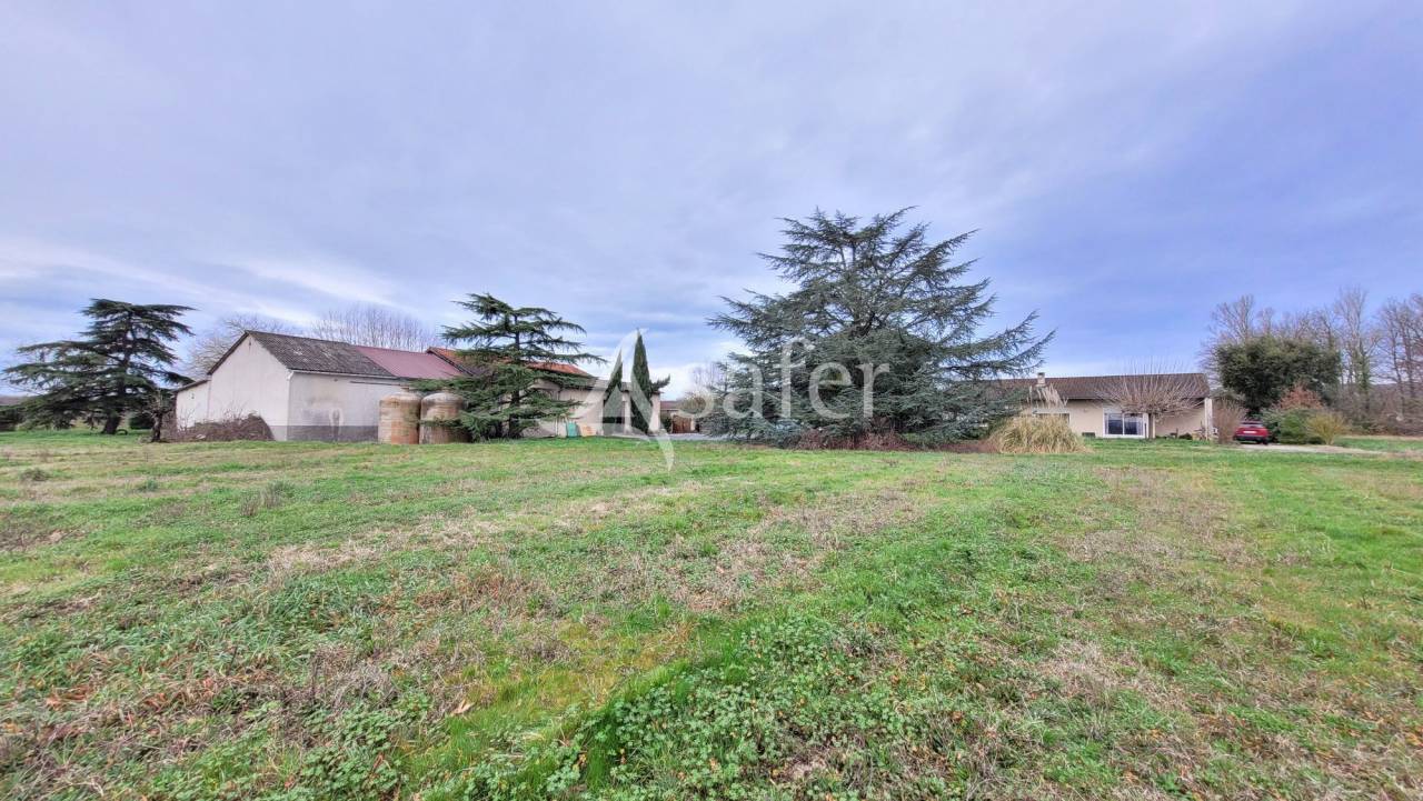 Azienda cerealicola In vendita tarn