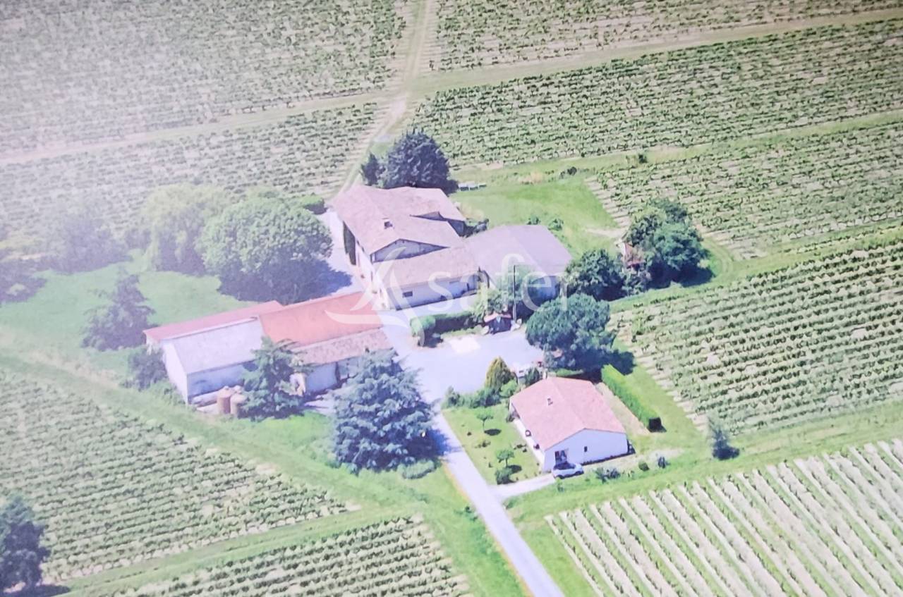 Azienda cerealicola In vendita tarn