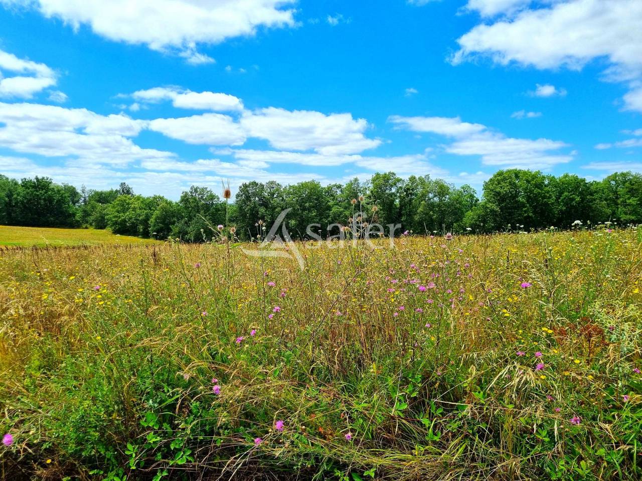 Azienda agricola In vendita Tarn-et-Garonne