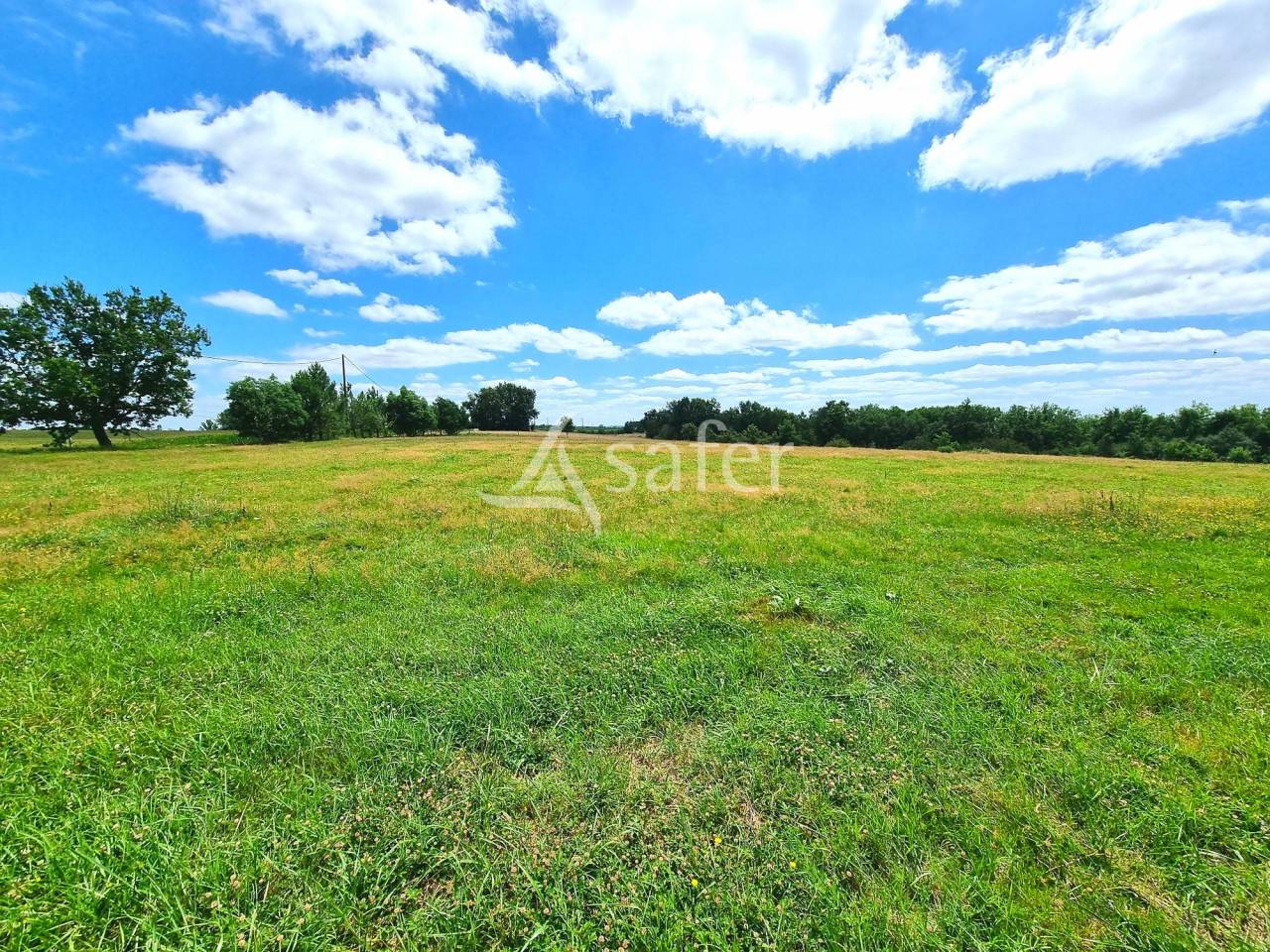 Azienda agricola In vendita Tarn-et-Garonne