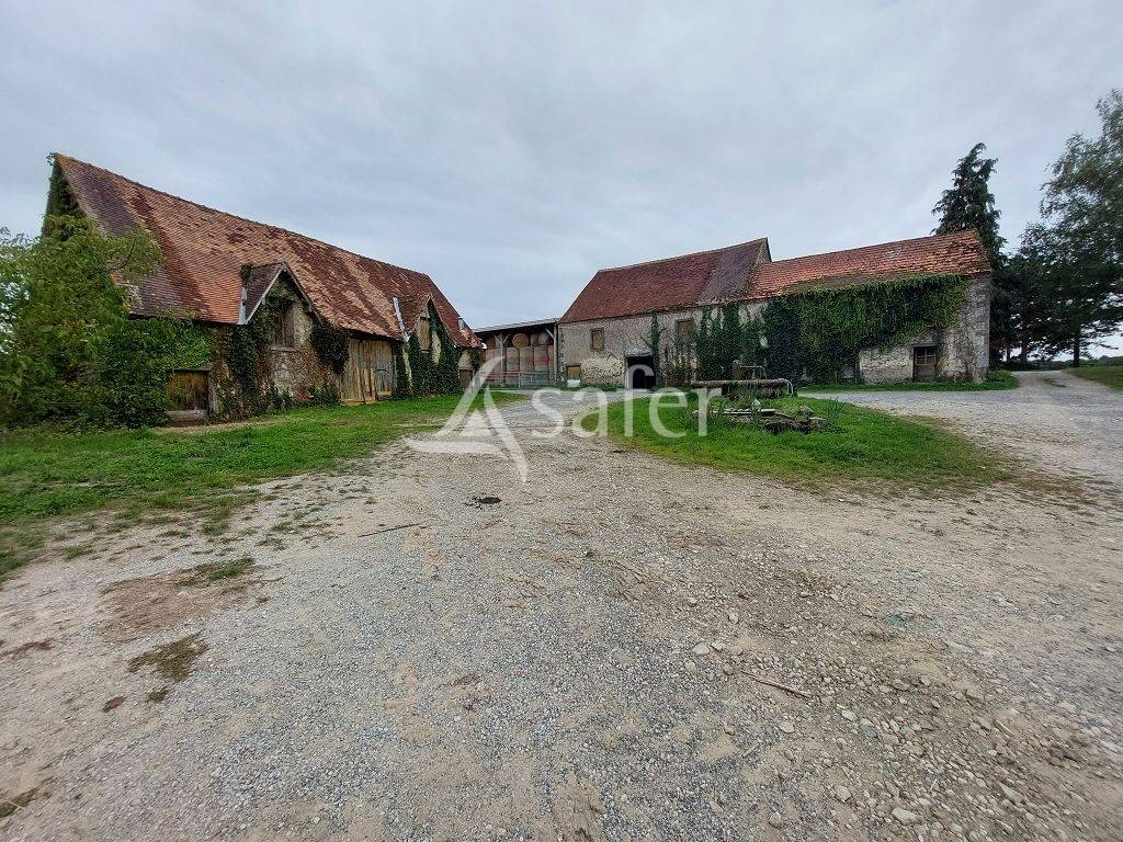 Azienda ovina In vendita Haute-Vienne