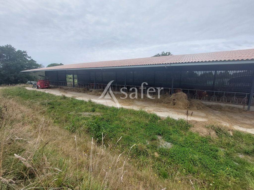 Azienda ovina In vendita Haute-Vienne