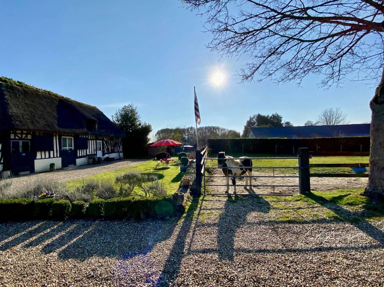 Propriet&agrave; equestre In vendita 