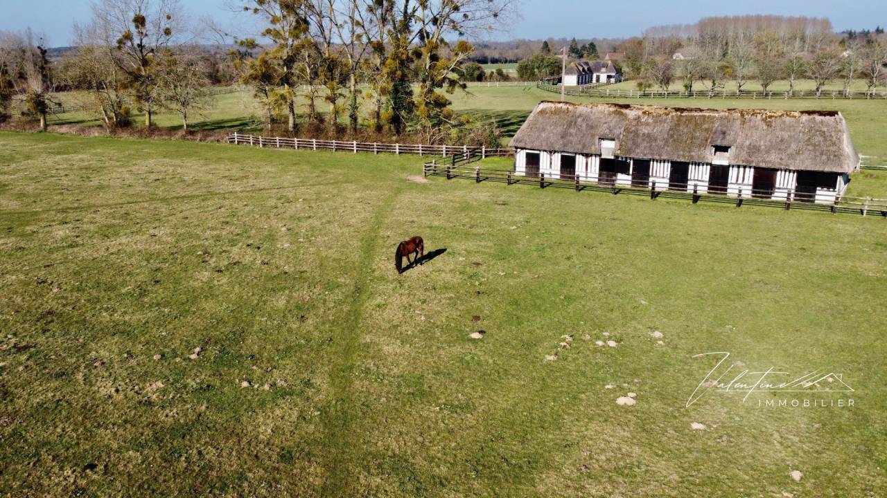 Propriet&agrave; equestre In vendita 