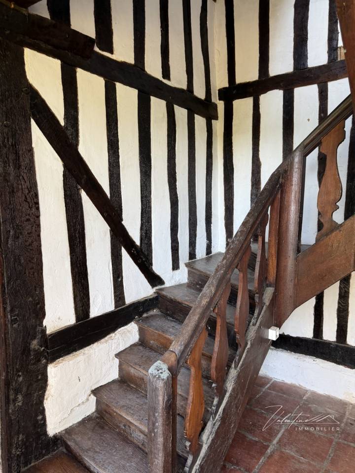 Propriet&agrave; equestre In vendita 