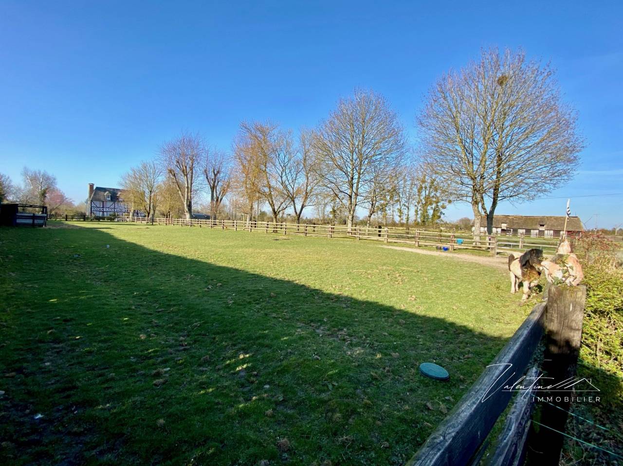 Propriet&agrave; equestre In vendita 