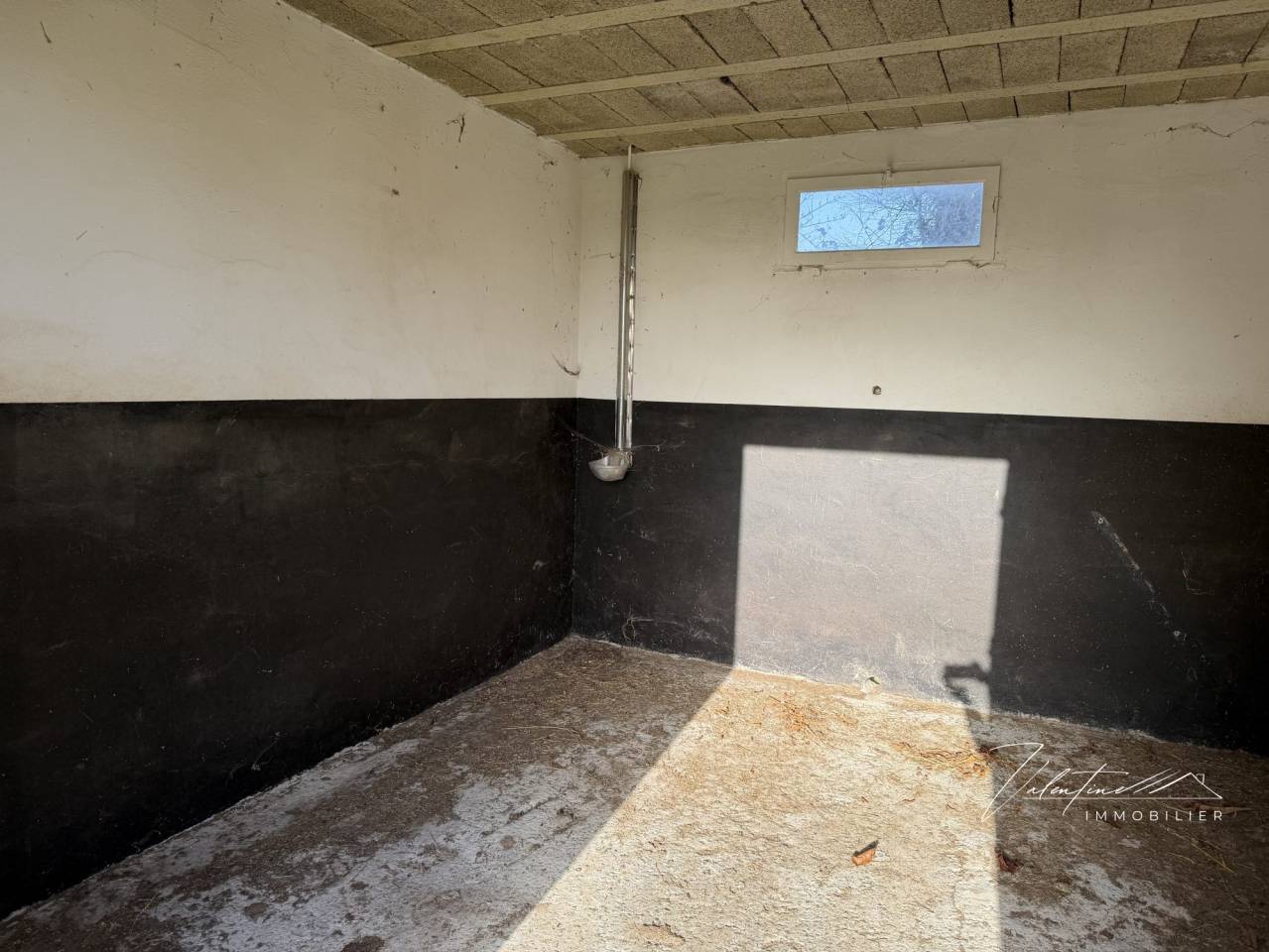 Propriet&agrave; equestre In vendita 