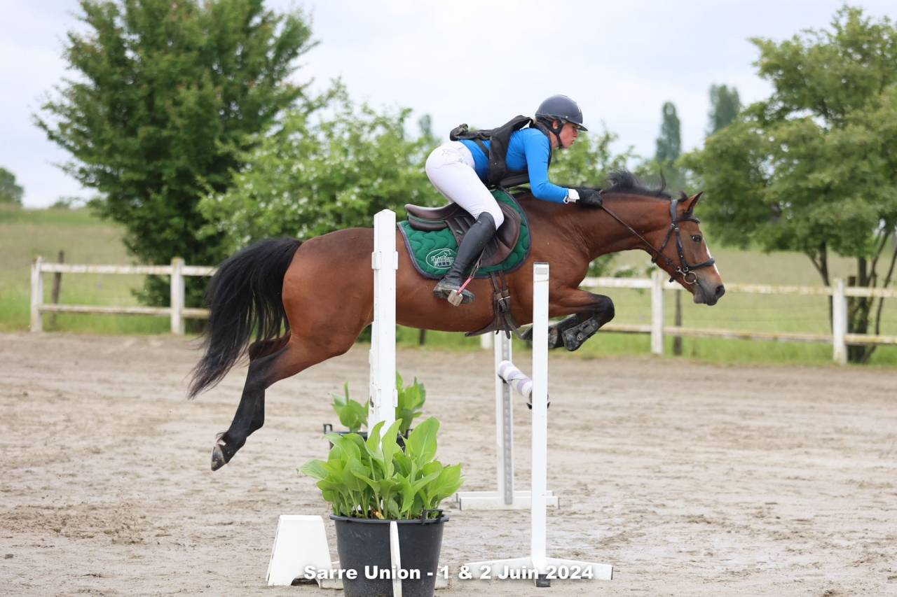 Cavalla PFS Pony Francese da Sella In vendita 2019 Baio ,  Vertigo de Ch&acirc;telain