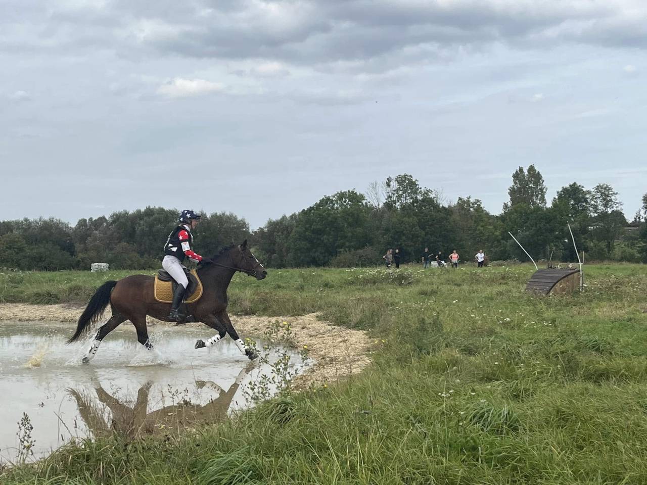 Cavalla PFS Pony Francese da Sella In vendita 2019 Baio ,  Vertigo de Ch&acirc;telain