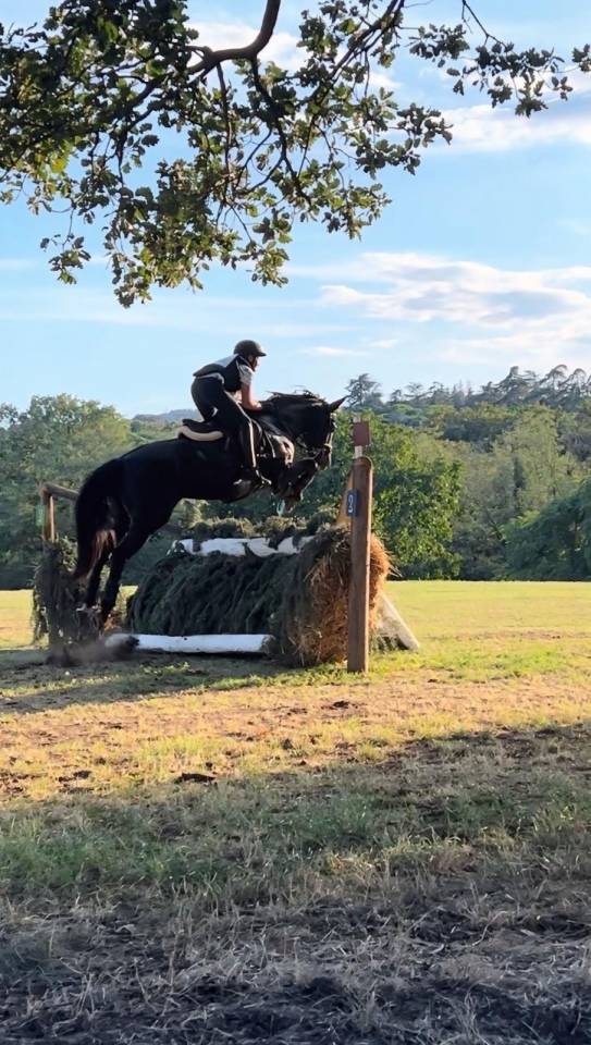 Pony sportivo da completo salto ostacoli