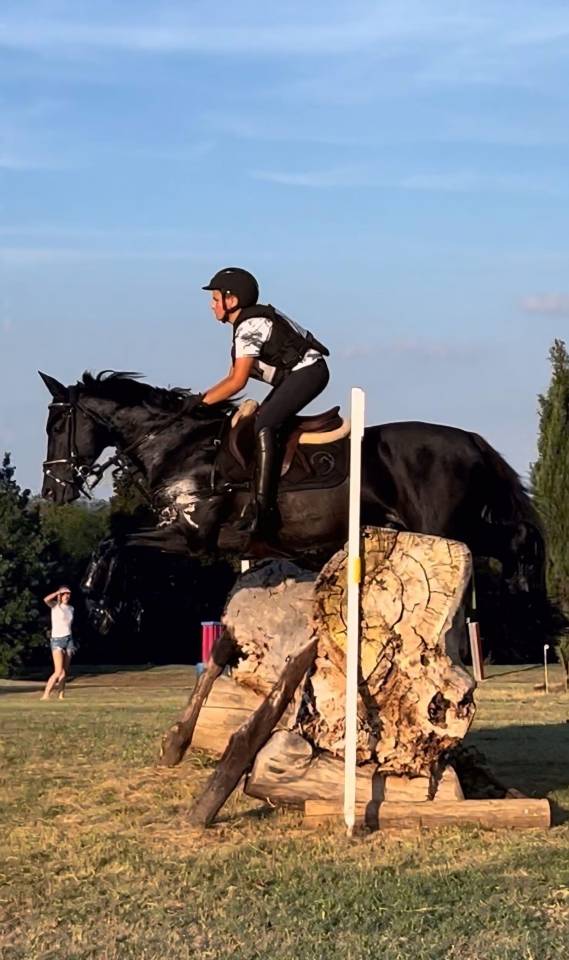 Pony sportivo da completo salto ostacoli