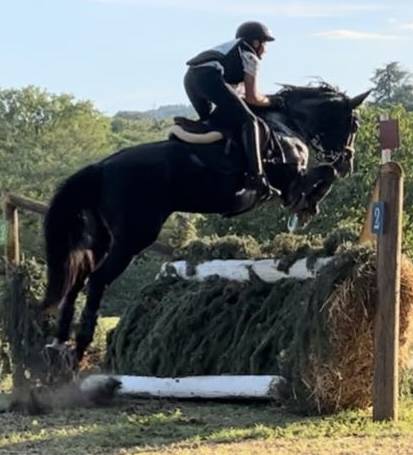 Pony da completo e salto ostacoli