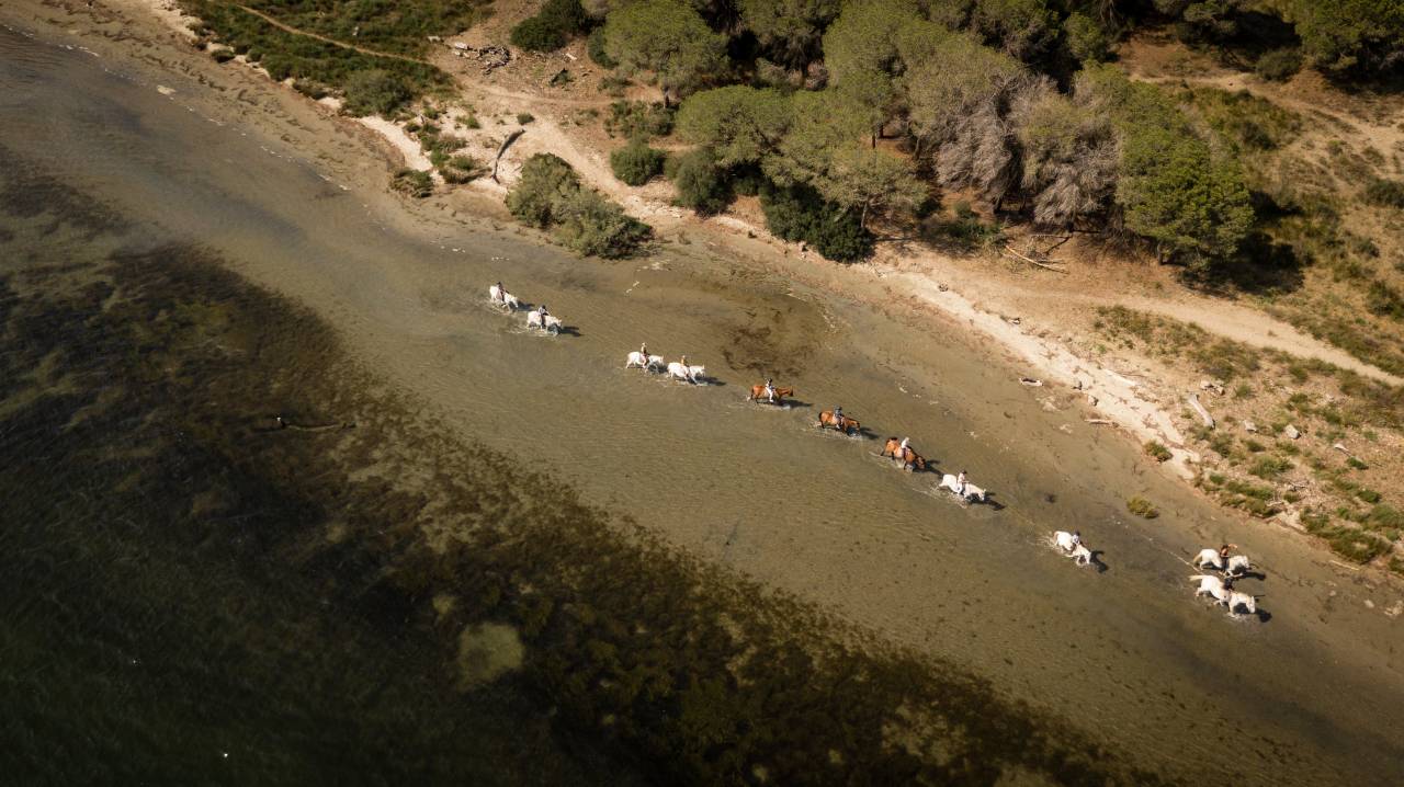 Fondo di negozio In vendita Bouches-du-Rh&ocirc;ne