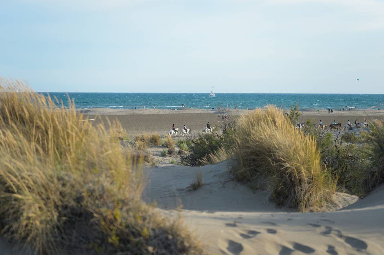 Fondo di negozio In vendita Bouches-du-Rh&ocirc;ne