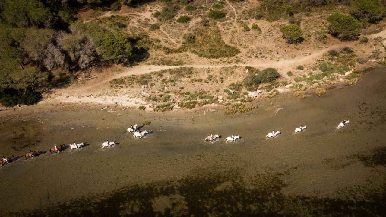 Fondo di negozio In vendita Bouches-du-Rh&ocirc;ne