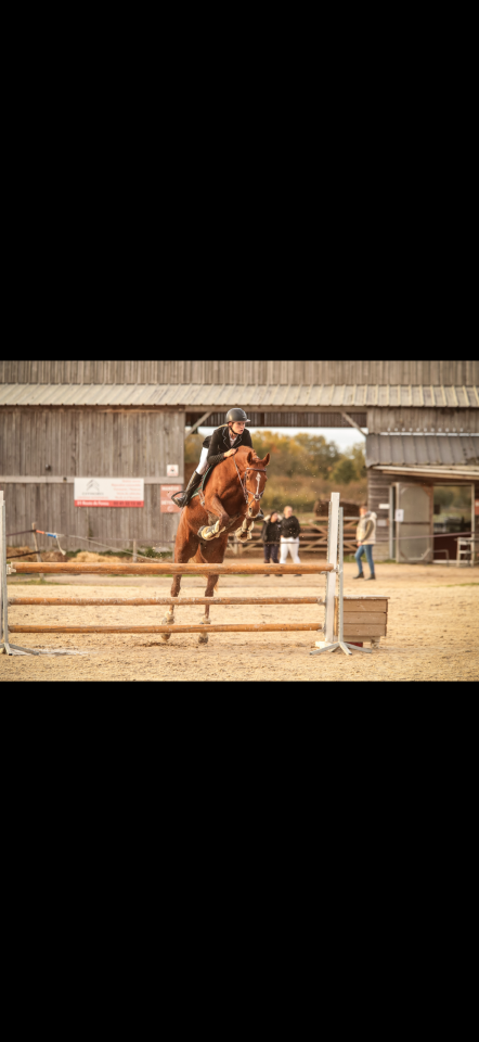 Puledra Origine non conosciuta  In vendita 2024 Sauro brul&eacute; ,  Idaho de ch&acirc;telain