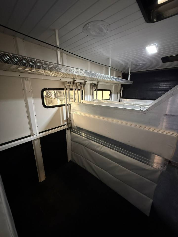 Camion per Cavalli Man  2008 Occasione