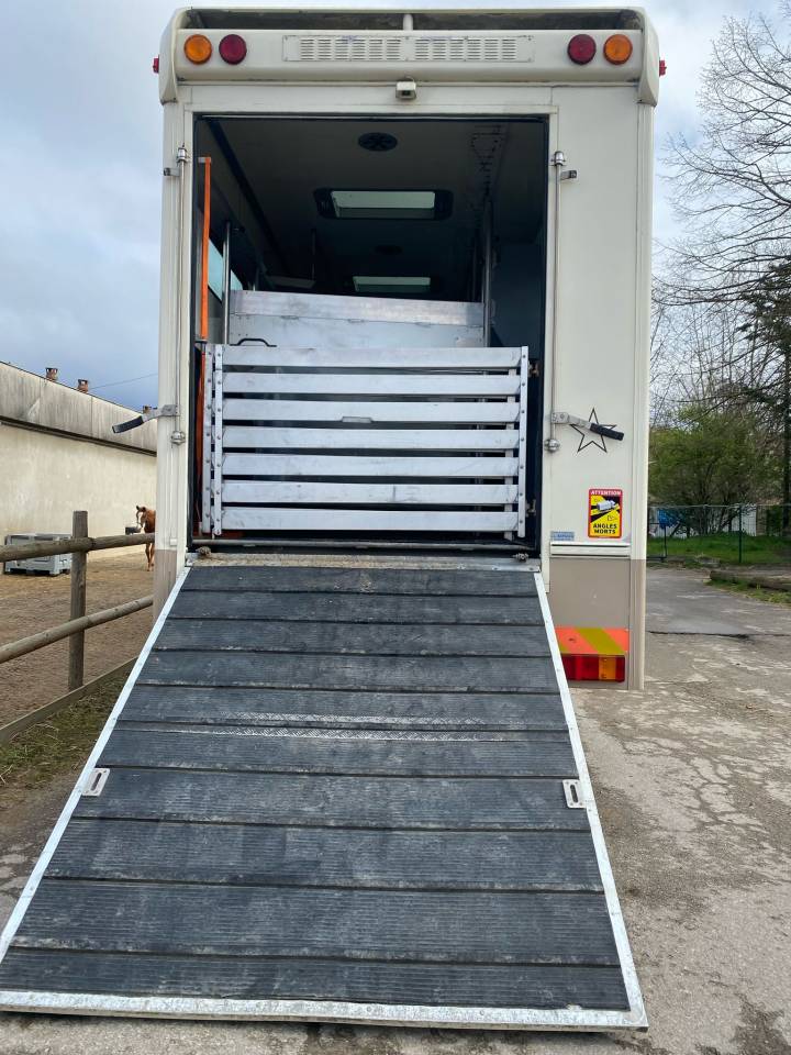 Camion per Cavalli Iveco Cursor 2000 Occasione