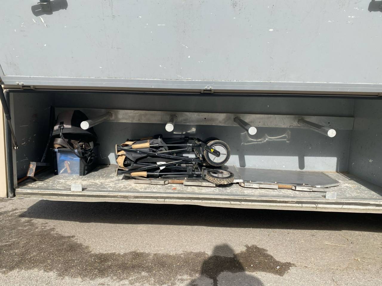 Camion per Cavalli Iveco Cursor 2000 Occasione