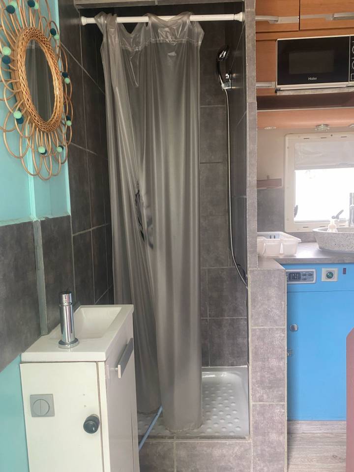 Camion per Cavalli Iveco Cursor 2000 Occasione