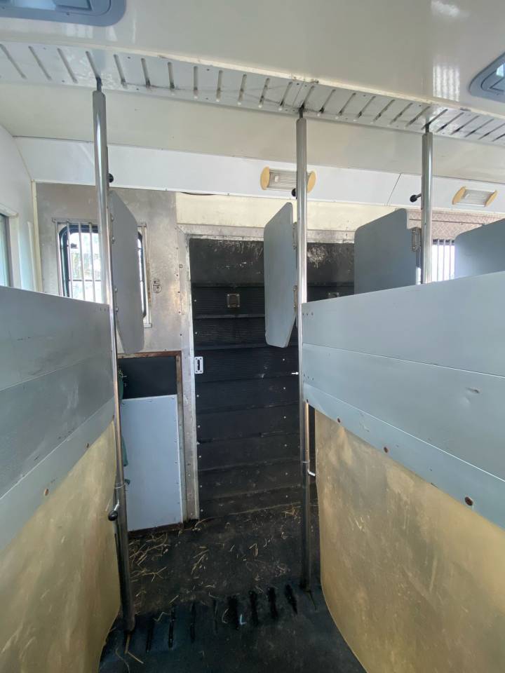 Camion per Cavalli Iveco Cursor 2000 Occasione