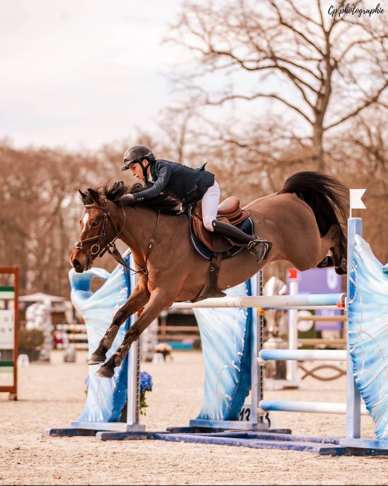 Castrone Origine non conosciuta  In vendita 2015 Baio